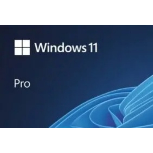  Windows 10-11 PRO KEY